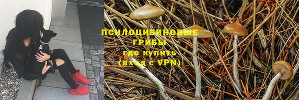 прущий лед Балабаново
