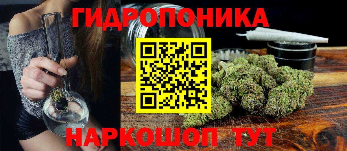 Бошки марихуана VHQ  Вход с VPN  Бошки Шишки марихуана  Бошки Шишки White Widow  Бор 